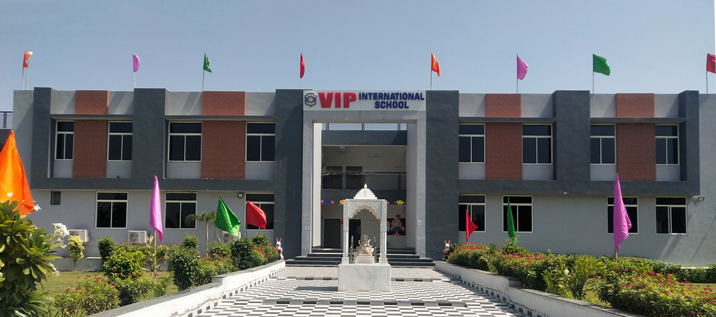 Vip International School
