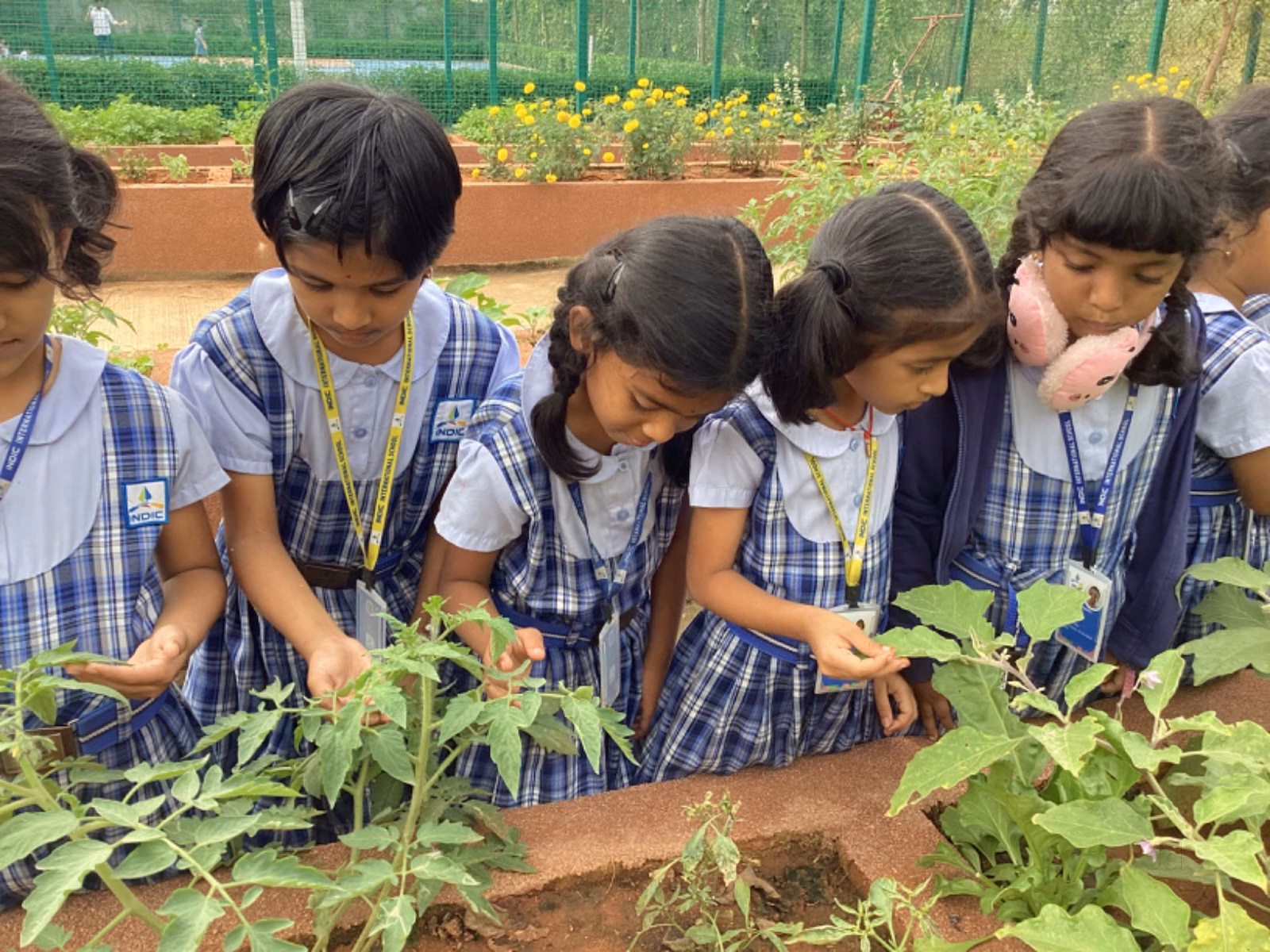 Image 1761126367383 Image 1761126367383