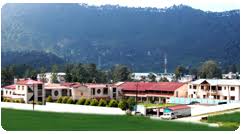 Lakes International School