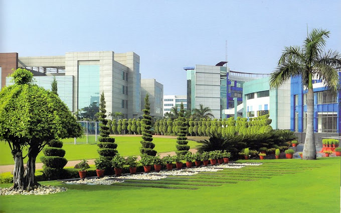 Lotus Valley International School