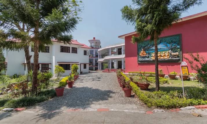 image-1781542341027 Pestle Weed School Dehradun