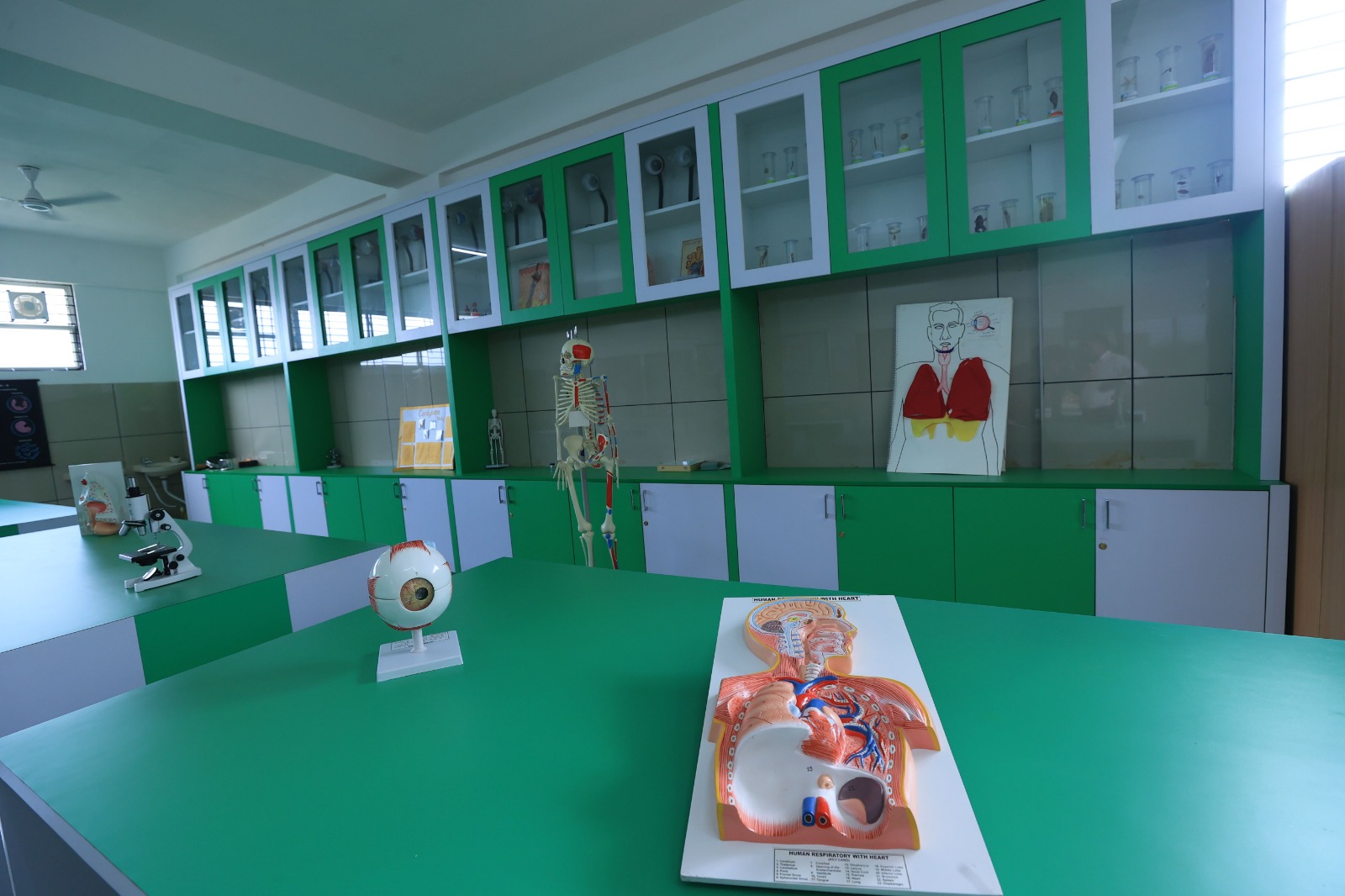 Vishwa Vidyapeeth Takshashila School