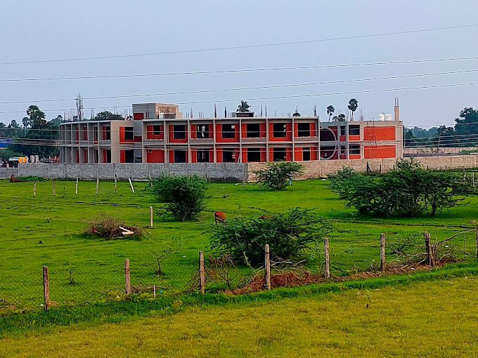 Tatva School