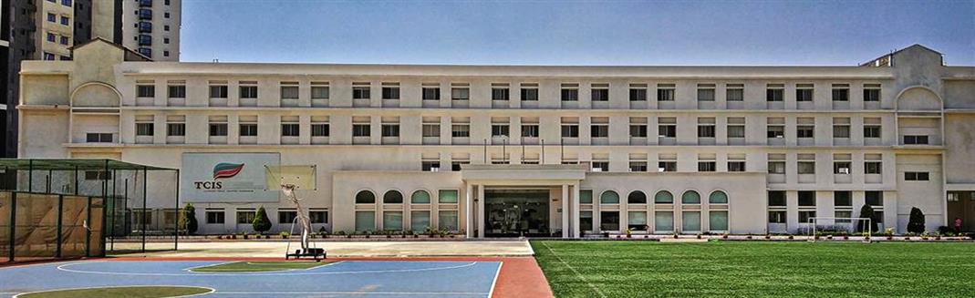 The Cambridge International School
