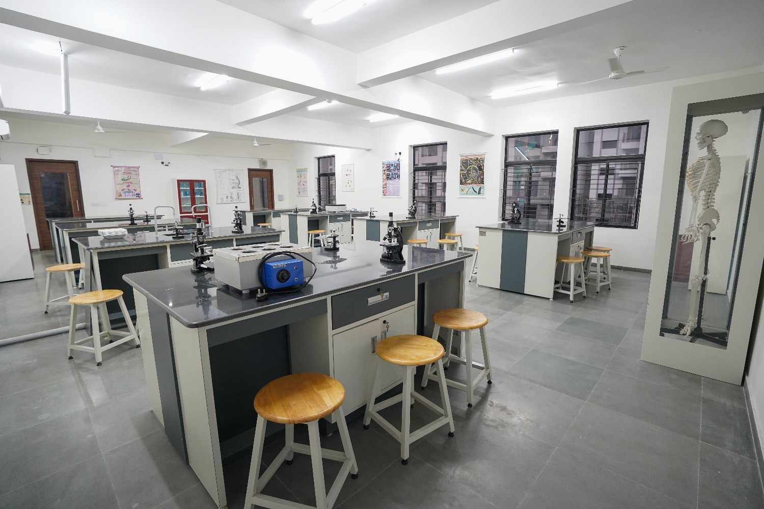 image-1769680483785 image-1769680483785