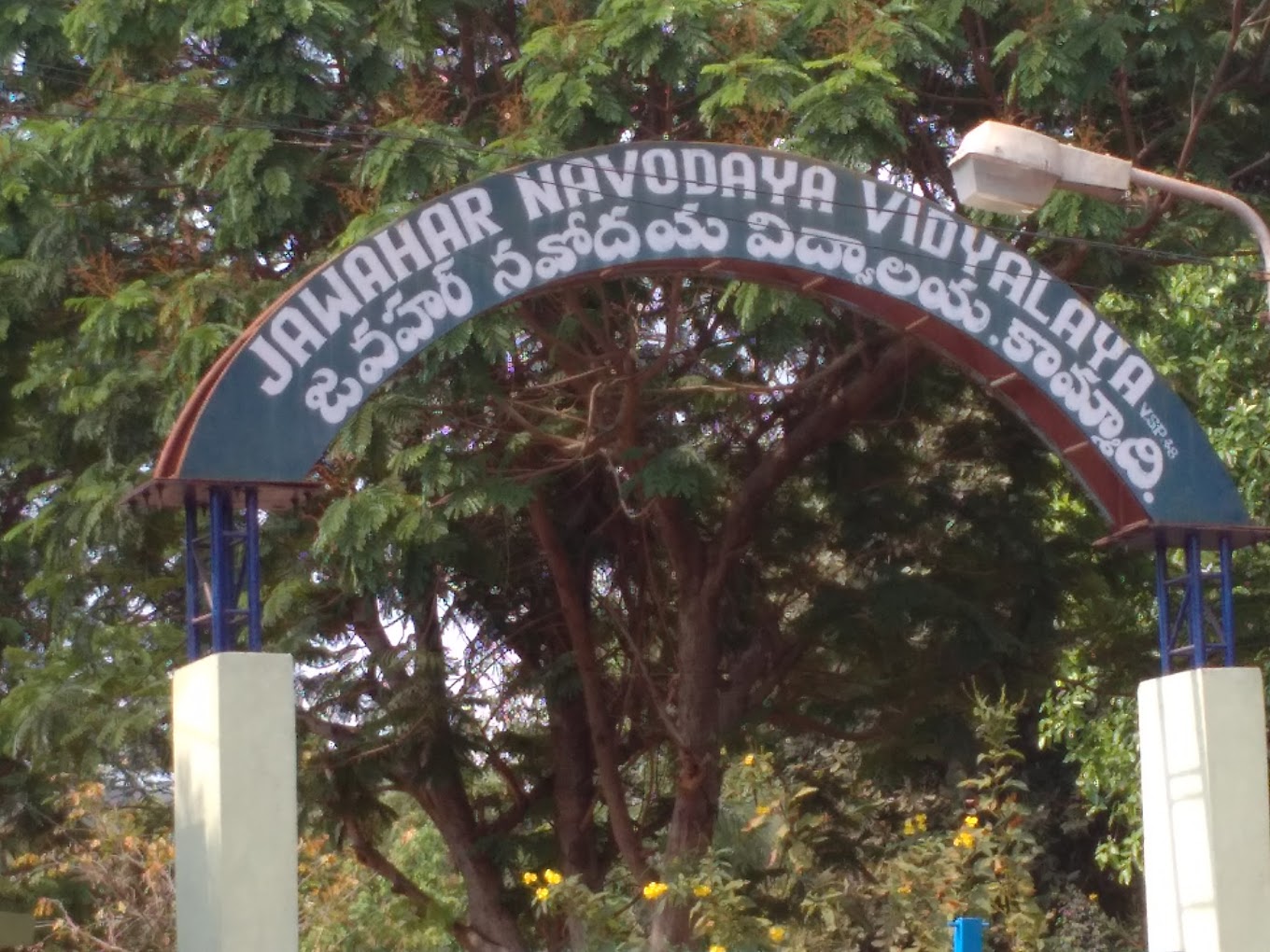 image-1780671366383 Jawahar Navodaya Vidyalaya
