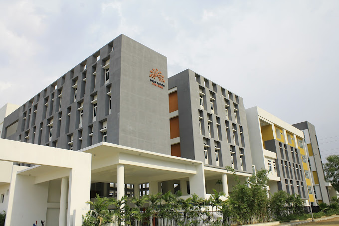 Birla Open Minds International School