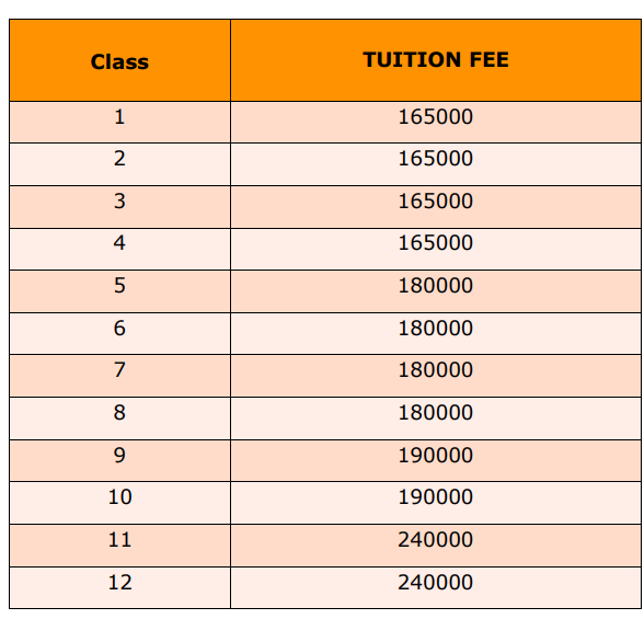 Fee Structure of The Amaatra Academy: