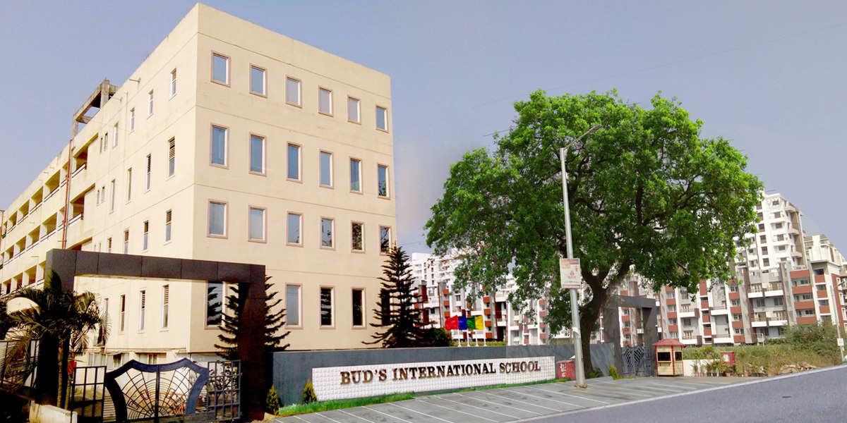 Buds International School